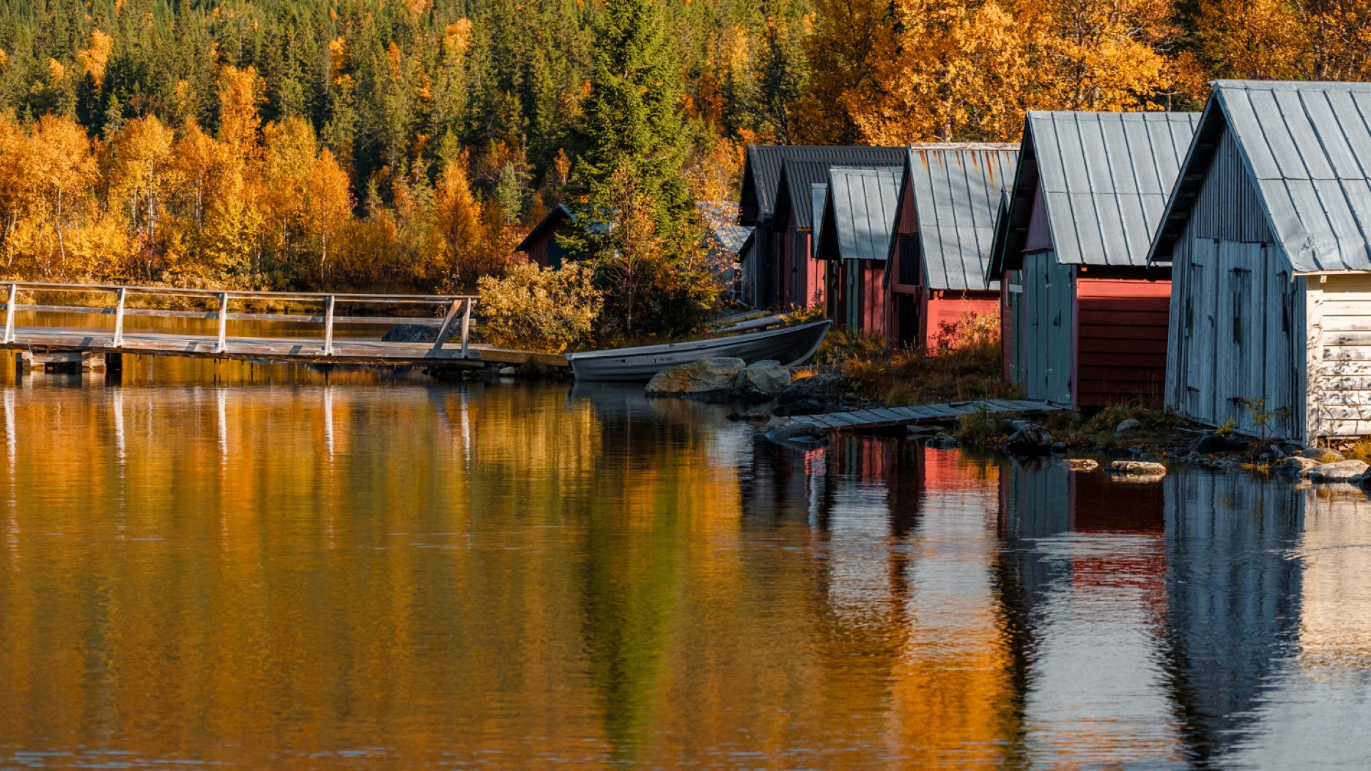 Louer un chalet avec étang : une expérience de pêche inoubliable !