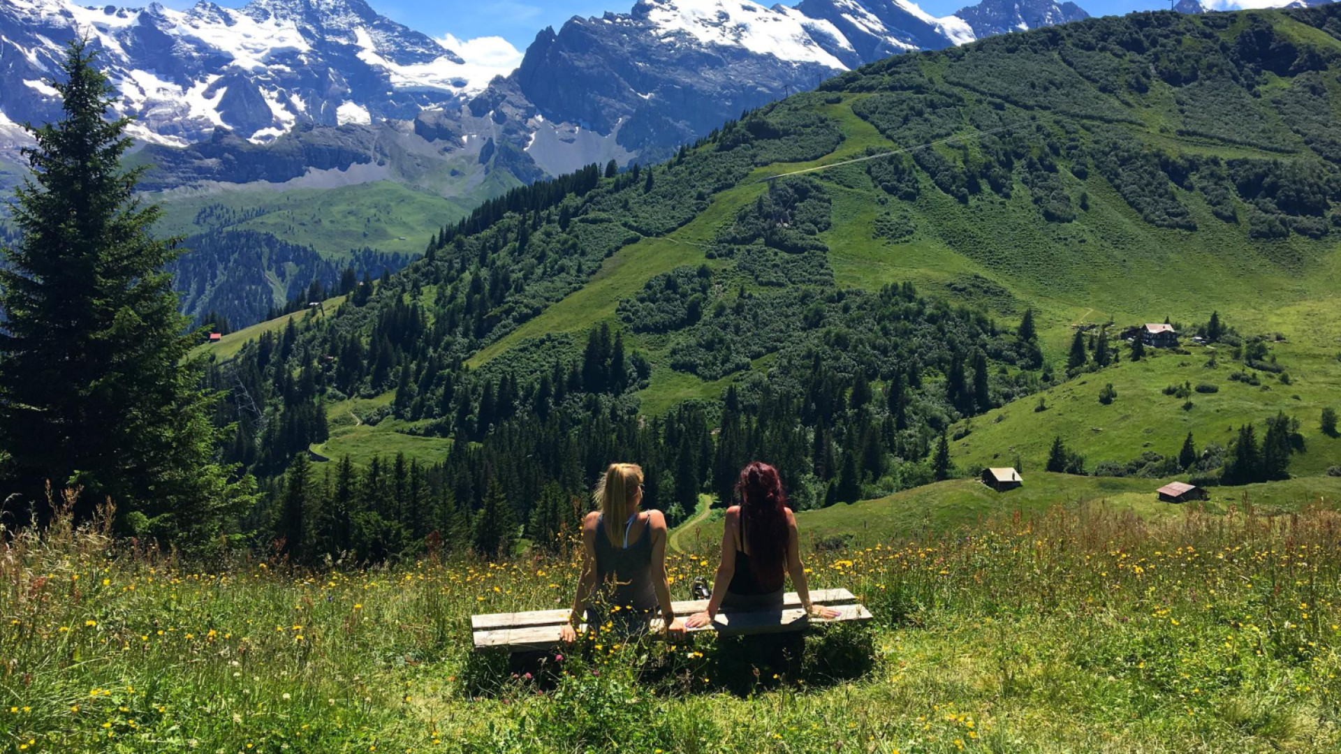 Offrez-vous des vacances d’été inoubliables au cœur des Alpes !