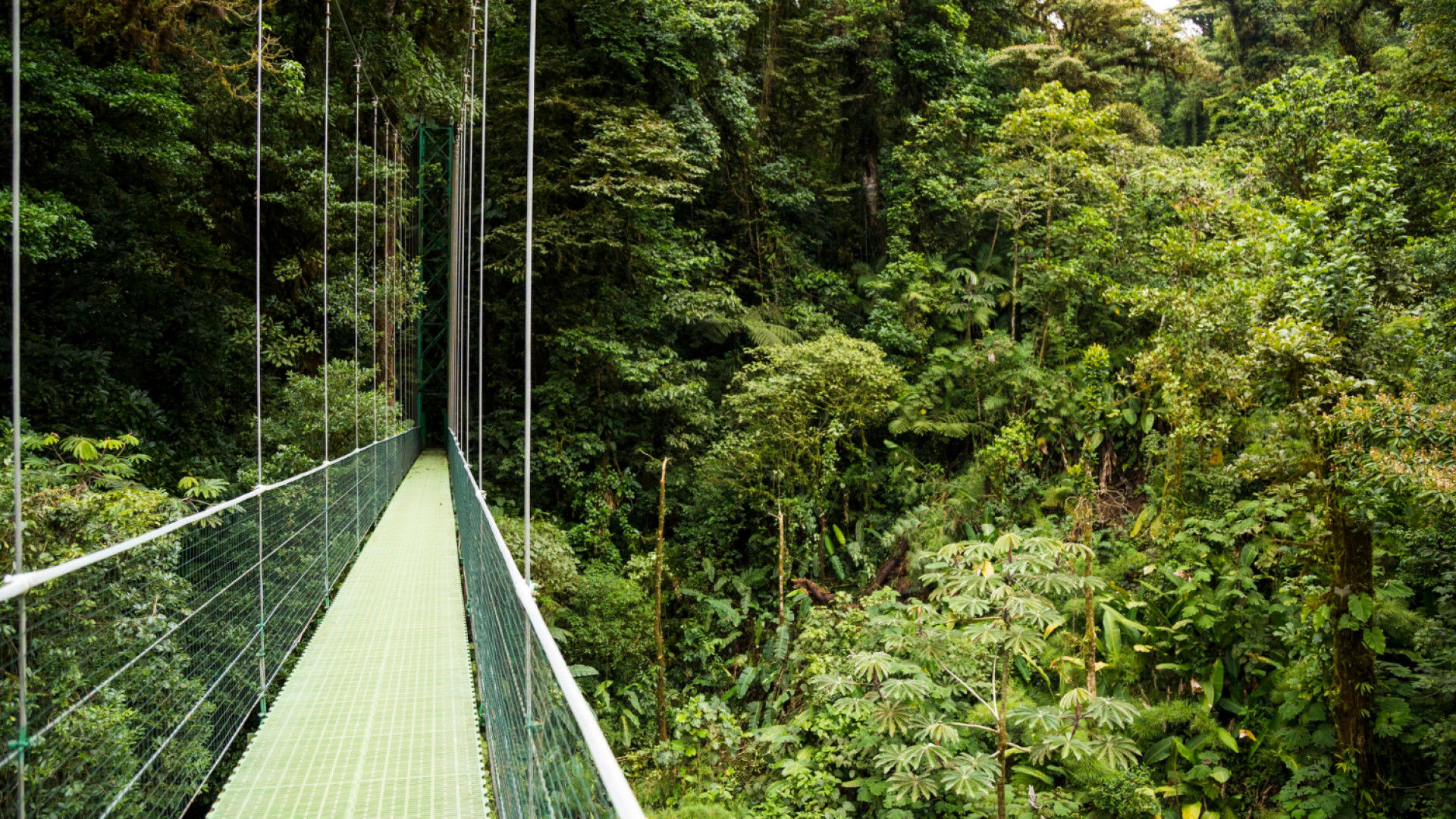 Le Costa Rica autrement : un séjour haut de gamme entre nature et confort
